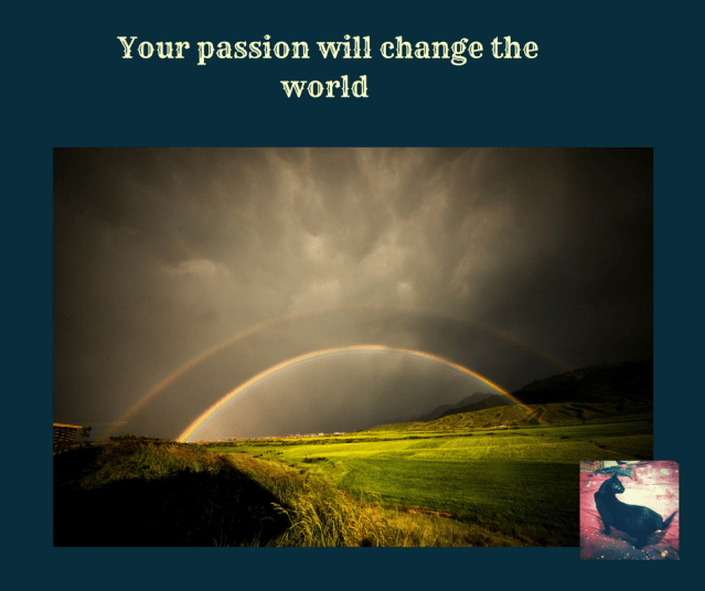 Your pur passion will change the world