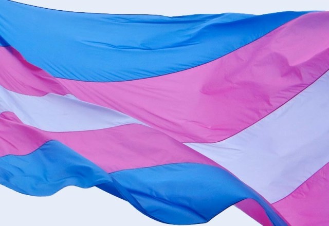 Trans-flag-3